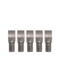 Bit 5/16" Schlitz 30mm 10mm 5-tlg.