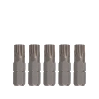 Bit 5/16" TX 30mm T45 5-tlg.