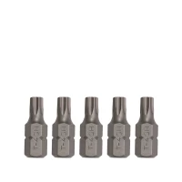 Bit TX 10mm 30mm T20H 5-tlg.